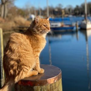 Meet your Posher, Bryce